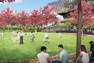 Cricket Ground